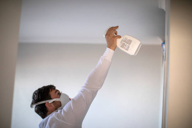 Professional Mold Removal in Richland Hills, TX