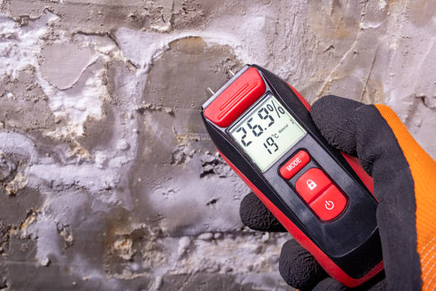 Best Certified Mold Removal  in Richland Hills, TX
