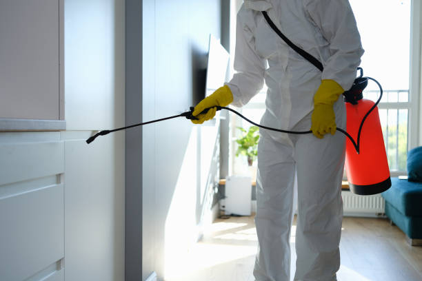Best Mold Damage Repair  in Richland Hills, TX