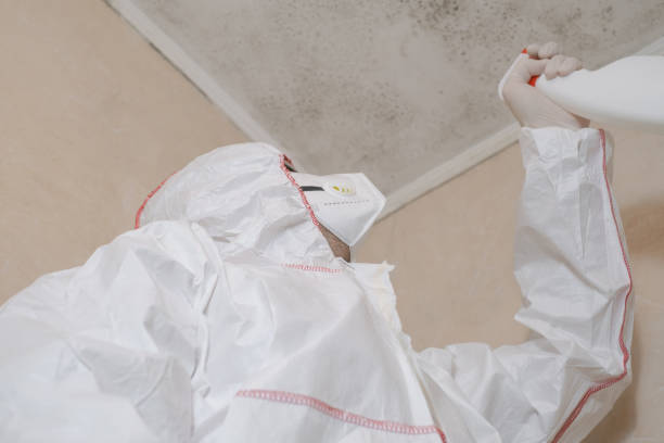 Best Local Mold Removal Service  in Richland Hills, TX
